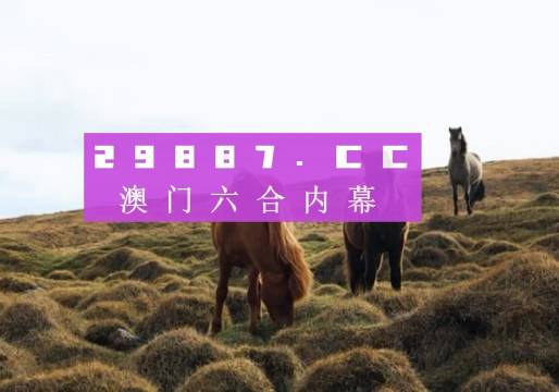 澳門今晚開獎(jiǎng)什么，揭秘彩票背后的秘密與策略分析，澳門彩票開獎(jiǎng)揭秘，策略分析與秘密探索