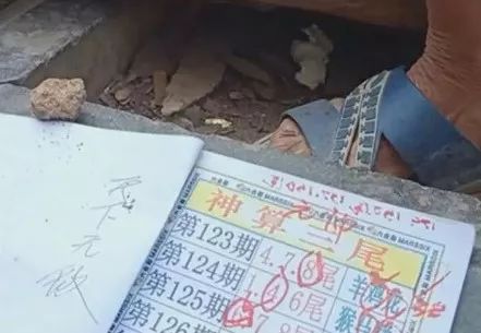 香港中特期期準(zhǔn)資料，深度解析與探索，香港中特期期準(zhǔn)資料深度解析與探索報告