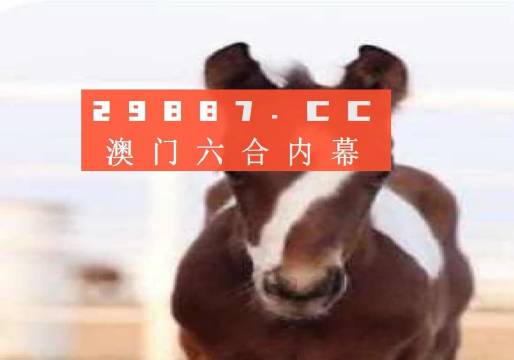 澳門一肖一碼一待一中資料，深度解析與探索，澳門一肖一碼深度解析與探索揭秘資料