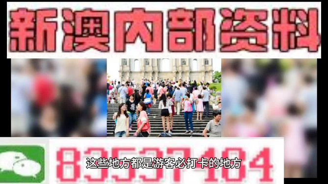 新澳天天開獎資料大全旅游團(tuán)——探索澳門的魅力之旅，澳門魅力探索之旅，新澳天天開獎資料大全旅游團(tuán)