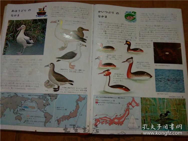 今日正版跑狗圖分享，探索7777788888跑狗圖的魅力，今日正版跑狗圖分享，探索魅力十足的777778跑狗圖