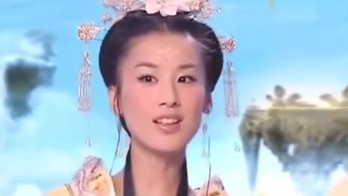 曾道道人資料免費(fèi)大全，深度探索與解析，曾道道人資料深度解析與免費(fèi)大全探索