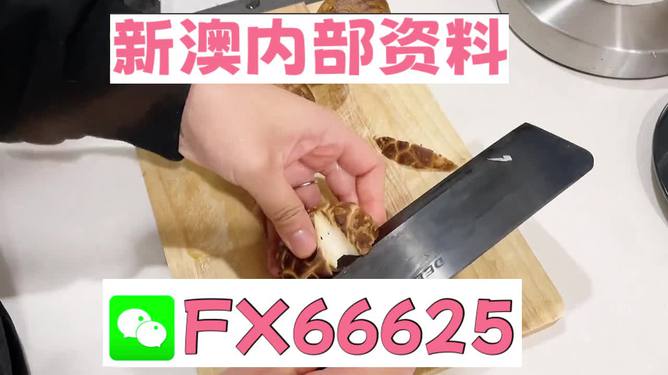 澳門九點(diǎn)半9點(diǎn)半網(wǎng)站——探索其魅力與優(yōu)勢，澳門九點(diǎn)半網(wǎng)站，魅力與優(yōu)勢探索