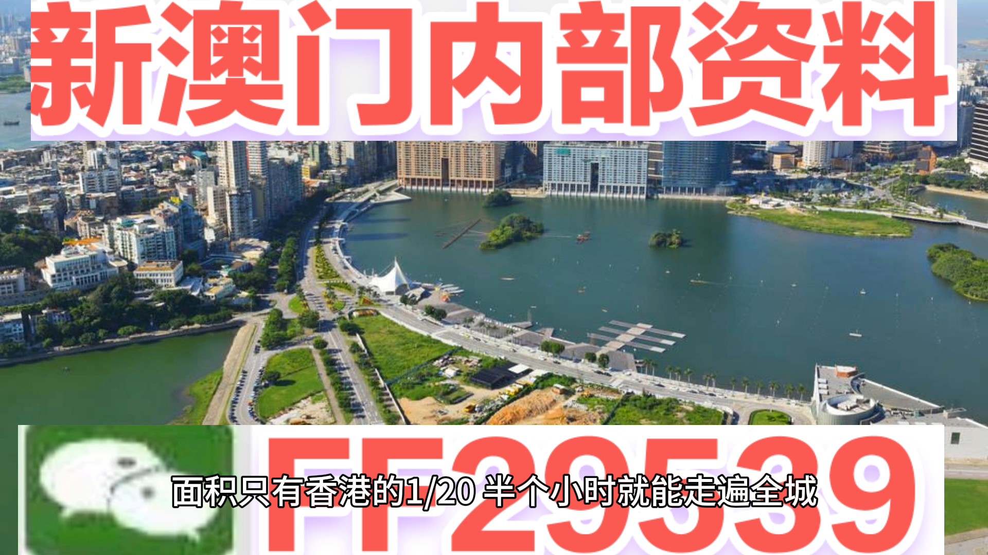 澳門特碼，探索其背后的秘密與魅力，澳門特碼背后的秘密與魅力探索