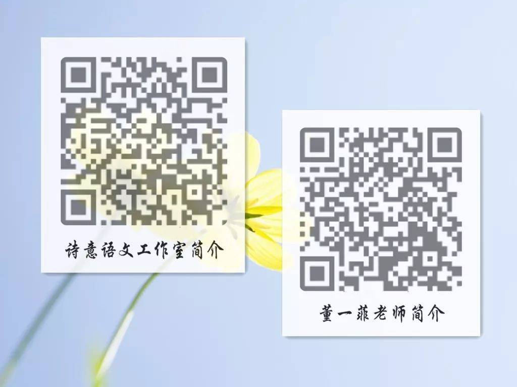 一碼一肖一特一，揭秘背后的秘密與獨特之處，揭秘一碼一肖一特一的獨特之處與背后秘密
