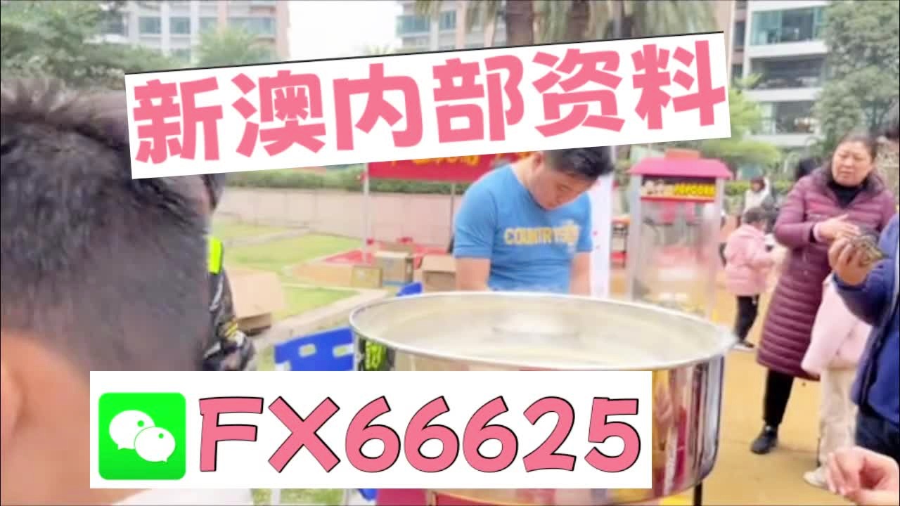 新澳2025芳草地資料大全，深度解析與前瞻性展望，新澳2025芳草地，資料深度解析與前瞻性展望