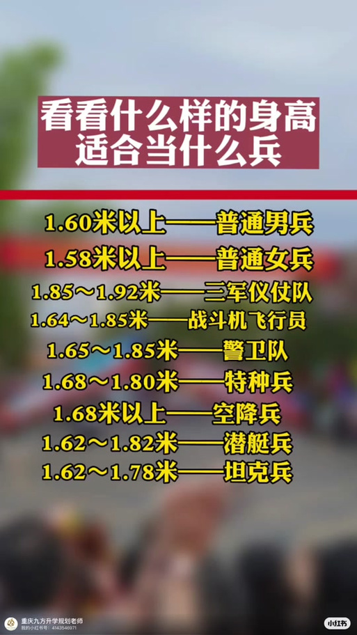 儀仗兵身高標(biāo)準(zhǔn)，探究與解析，儀仗兵身高標(biāo)準(zhǔn)，探究與詳解