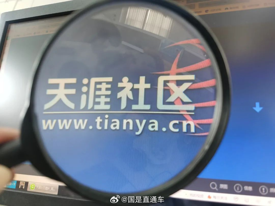 天涯國際觀察，全球視野下的深度分析與洞察，全球深度洞察，天涯國際觀察分析