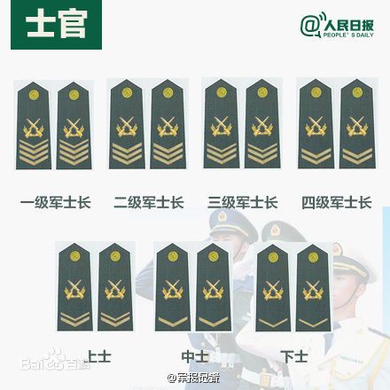 全球各國軍士長軍銜對照表及其重要性，全球各國軍士長軍銜對照表，揭示其重要性