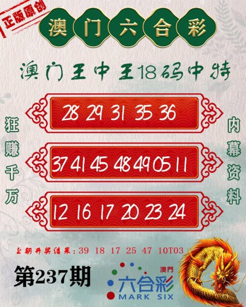 新澳門王中王期期中，探索與解析，新澳門王中王期期中，深度探索與解析