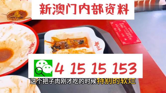 澳門王中王六碼新澳門，探索與解析，澳門王中王六碼新澳門，深度探索與解析