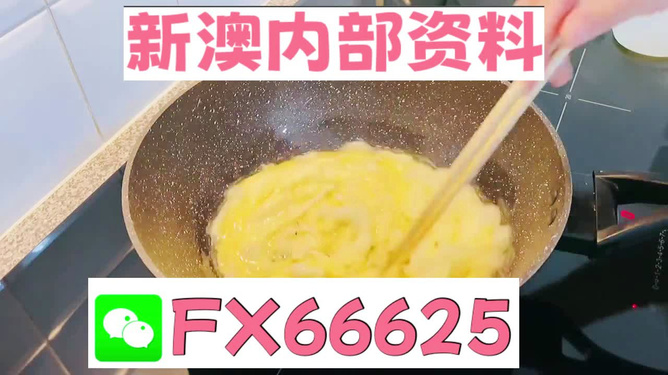 澳門九點(diǎn)半9點(diǎn)半網(wǎng)站——探索與體驗(yàn)，澳門九點(diǎn)半網(wǎng)站，探索與體驗(yàn)之旅