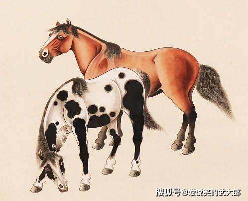 香港四不像一肖生肖圖，揭秘背后的神秘文化，香港四不像一肖生肖圖，神秘文化背后的揭秘