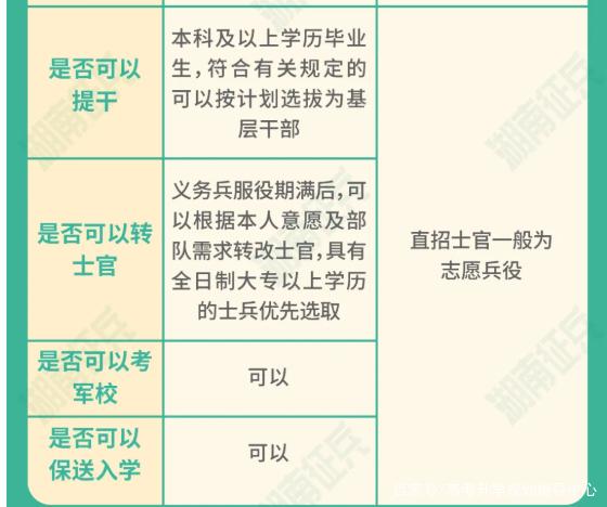 士官直招與義務兵的區(qū)別，深入了解軍隊招募制度，直招士官與義務兵招募制度深度解析，軍隊招募制度詳解