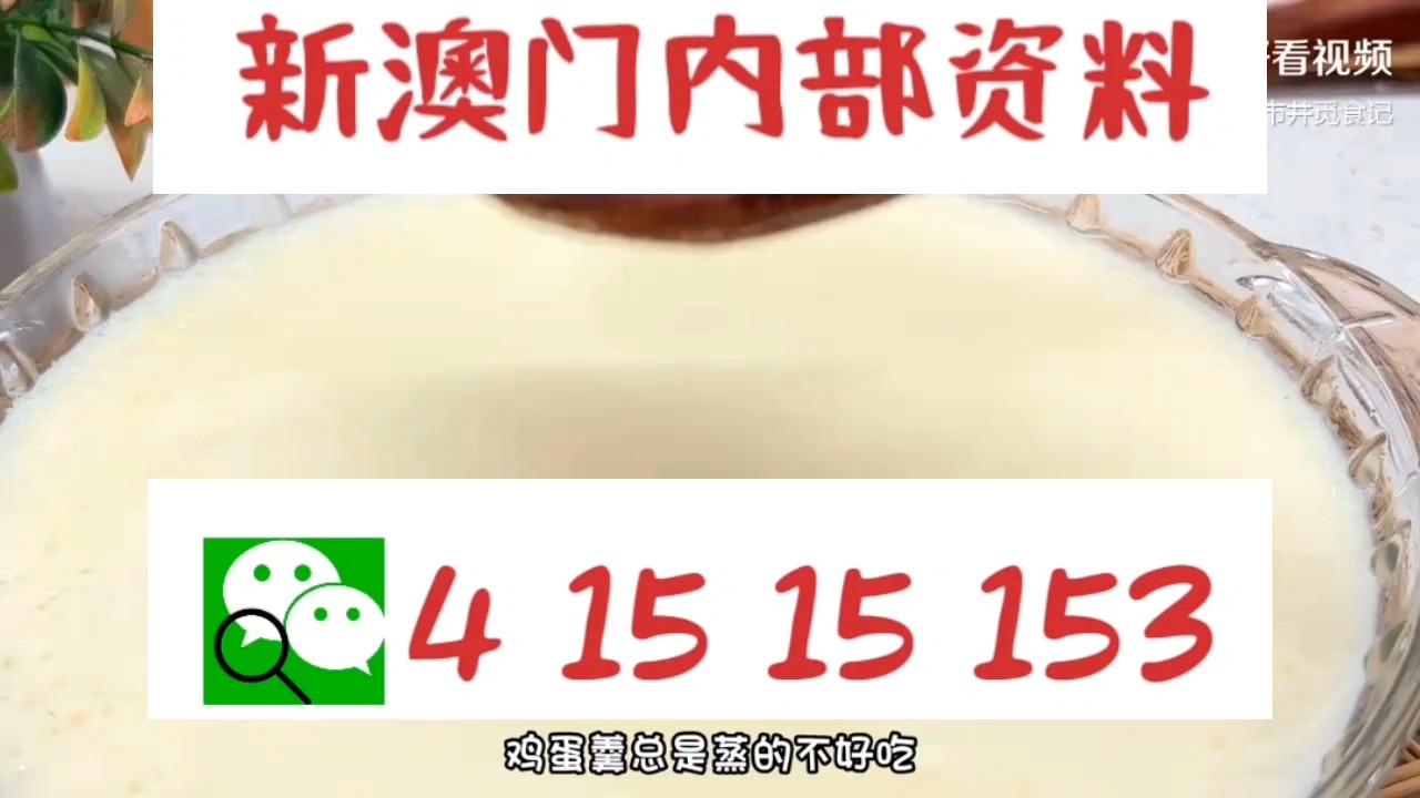 新澳門中特網(wǎng)中特馬，探索與解析，澳門中特馬探索與解析指南