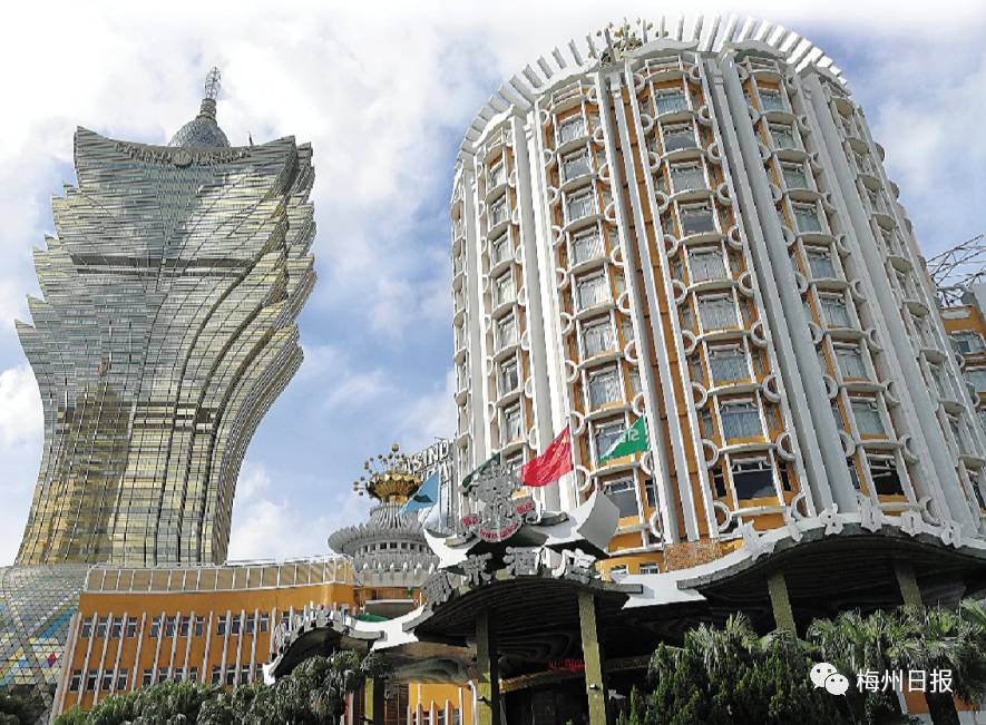 新澳門最精準——探索澳門的精準旅游魅力，澳門精準旅游魅力探索之旅
