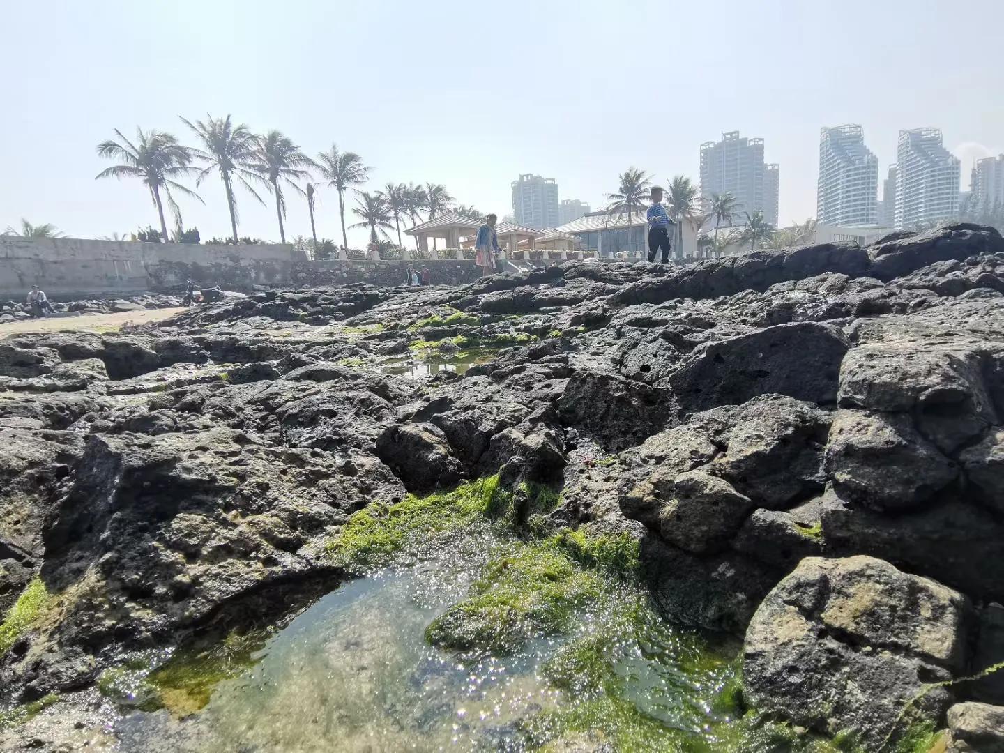 解放海南島電視劇全集下載，探尋30集完整劇情，解放海南島電視劇全集下載，探尋完整的30集劇情探索