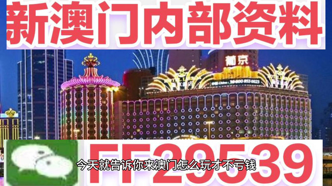 澳門今晚必開一肖——揭秘生肖彩票的魅力與策略，澳門生肖彩票揭秘，策略與魅力探索
