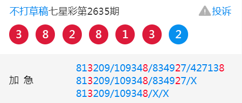 王中王平特一肖二中一，深度解析與探索，王中王平特一肖二中一深度解析與探索報告
