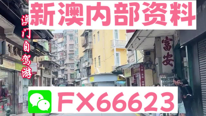 新澳精準(zhǔn)資料免費(fèi)提供，探索與解析，新澳精準(zhǔn)資料解析與探索，免費(fèi)提供的深度解讀