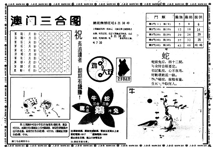SEO優(yōu)化策略指南