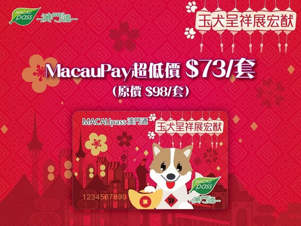 澳門生肖卡，探索未來的趨勢與機遇（2025年展望），澳門生肖卡，未來趨勢與機遇展望（2025年）