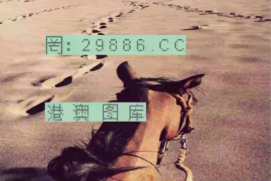 香港特馬資料王中王24期，深度解析與探索，香港特馬資料王中王深度解析與探索，第24期探索之旅