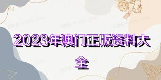 2023年澳門正版大全管家婆資料匯總，澳門正版大全管家婆資料匯總 2023年匯總版