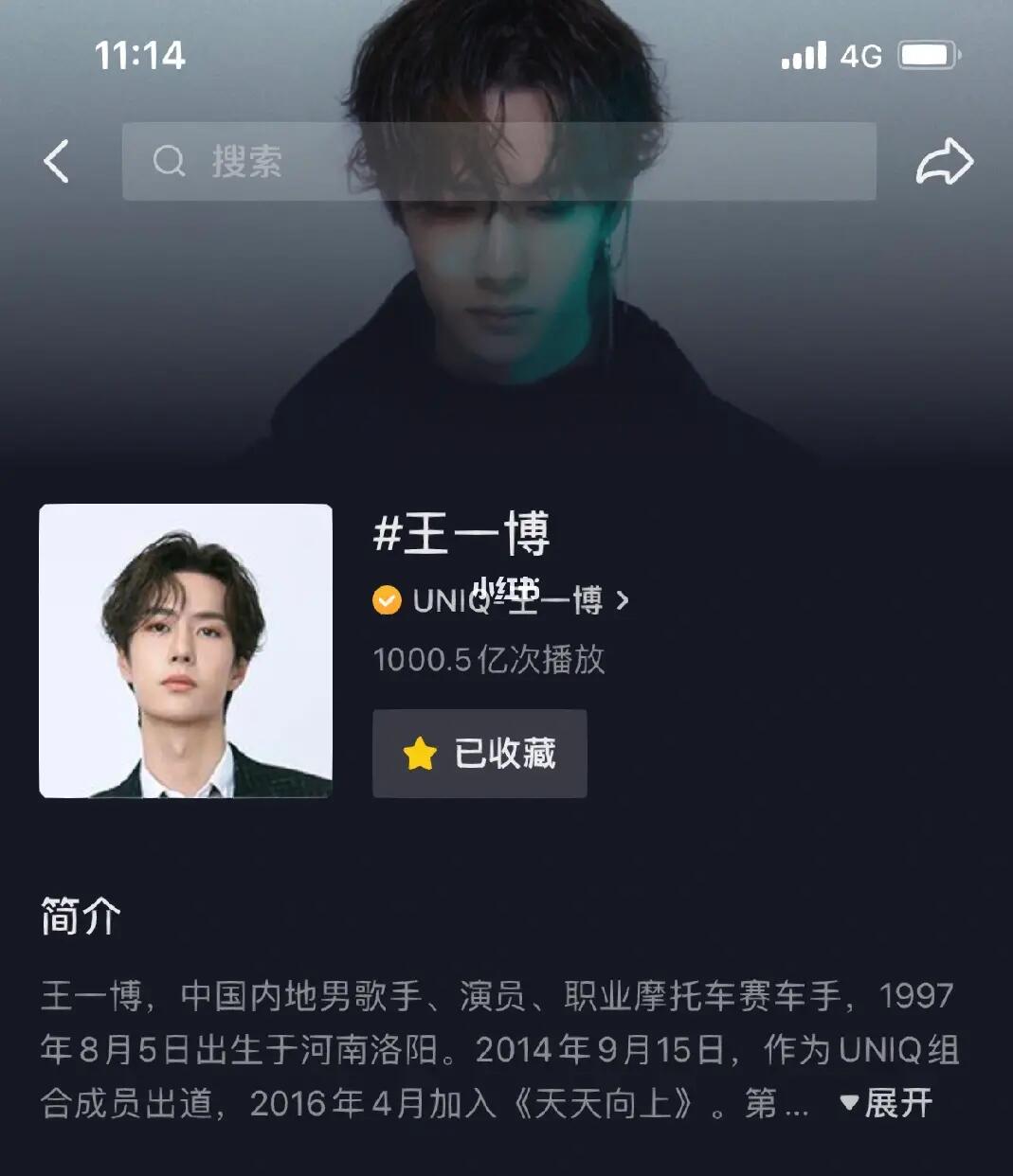 王中王一肖內(nèi)部資料詳解，王中王一肖內(nèi)部資料深度解析