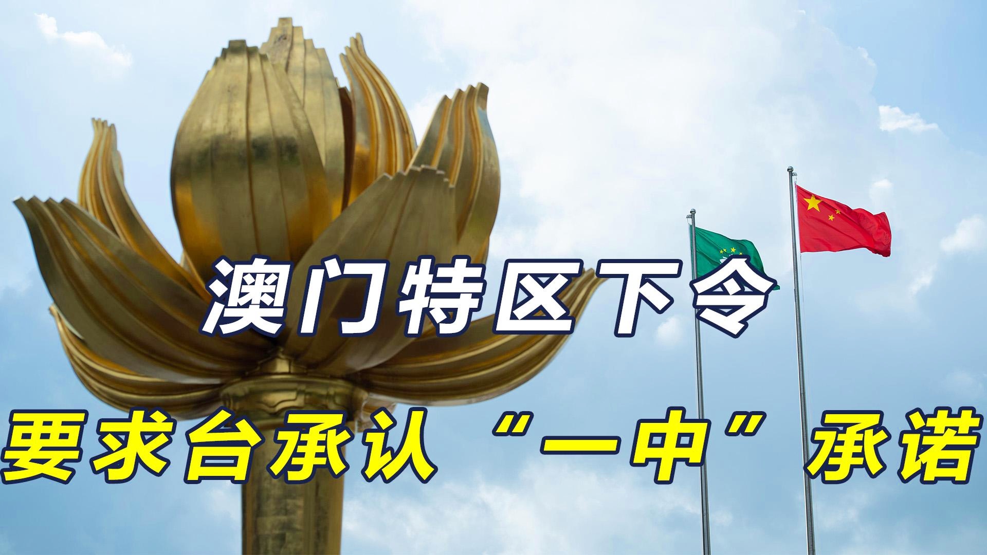 新澳門(mén)一碼一肖一特一中準(zhǔn)選今晚之秘與博彩文化深度解析，澳門(mén)博彩文化深度解析，今晚一碼一肖一特一中準(zhǔn)選的秘密