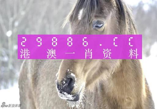 澳門一肖一碼背后的故事，一個關(guān)于精準(zhǔn)預(yù)測與傳奇的揭秘，澳門一肖一碼傳奇背后的精準(zhǔn)預(yù)測與揭秘之旅
