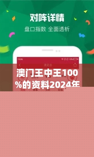 王中王網(wǎng)站一肖，探索與SEO優(yōu)化策略，王中王網(wǎng)站一肖，深度探索與SEO優(yōu)化策略實踐
