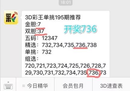 王中王一肖中特4993，深度解析與探索，王中王一肖中特4993深度解析與探索報告