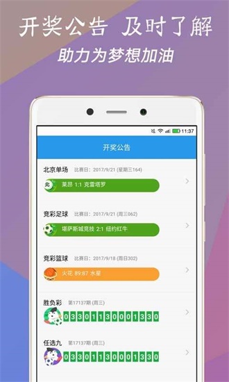 澳門今一必中一肖一碼一肖，揭秘彩票背后的秘密與策略，揭秘彩票背后的秘密與策略，澳門今一必中一肖一碼一肖探秘