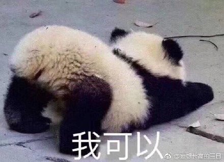 澳門(mén)精準(zhǔn)四不像最新正版，揭秘與探索，澳門(mén)精準(zhǔn)四不像揭秘與探索最新正版資訊