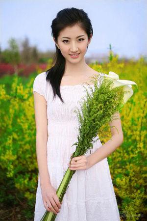 新澳門生肖走勢圖精準版，解讀與SEO策略，新澳門生肖走勢圖精準解讀與SEO策略揭秘