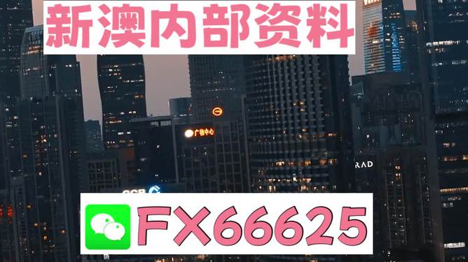 澳門跑狗，探索與解析，澳門跑狗，探索與解析之道