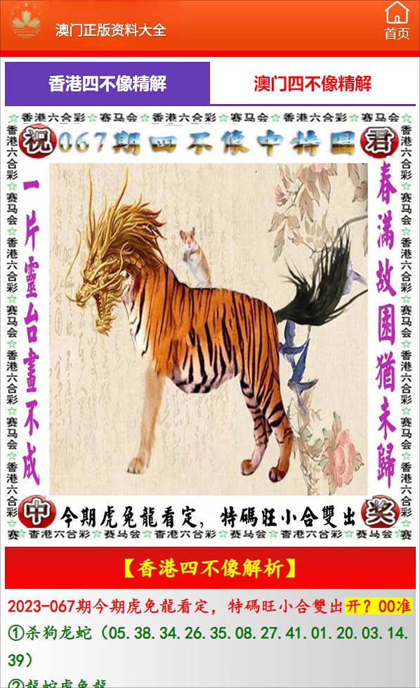 澳門必開一肖中特，揭秘生肖彩票的魅力與策略，揭秘澳門生肖彩票的魅力，必開一肖中特與策略解析