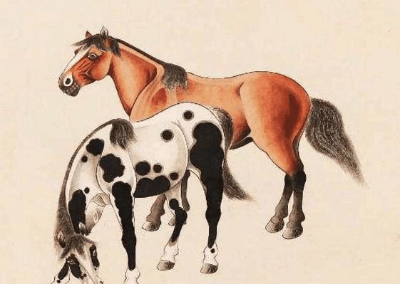 馬一王中王特平一肖圖，深度解析與SEO優(yōu)化策略，深度解析馬一王中王特平肖圖，SEO優(yōu)化策略探討
