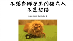 王中王013期指一生肖——探尋背后的秘密與奧秘，王中王013期生肖揭秘，探尋背后的秘密與奧秘之旅