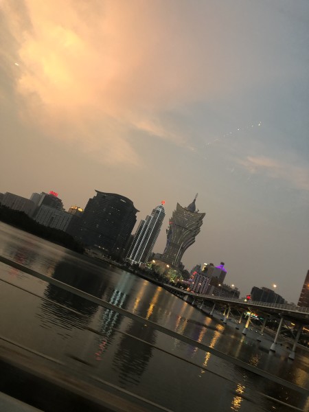 澳門今晚必開一肖一特，深度解析與預(yù)測，澳門今晚生肖特碼深度解析與預(yù)測，一肖一特必開趨勢探討
