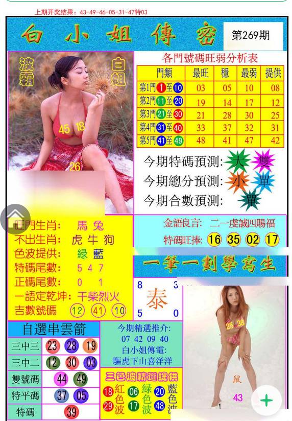 揭秘白小姐與王中王平持一肖的神秘面紗，白小姐與王中王，揭秘神秘生肖預測面紗