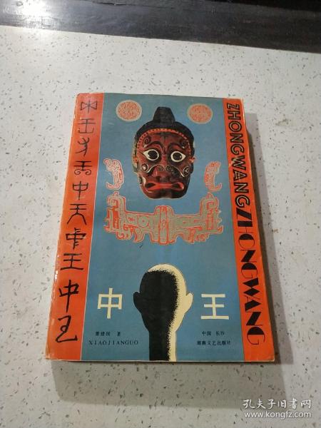王中王資料與肖中特，深度解析，王中王資料與肖中特深度剖析