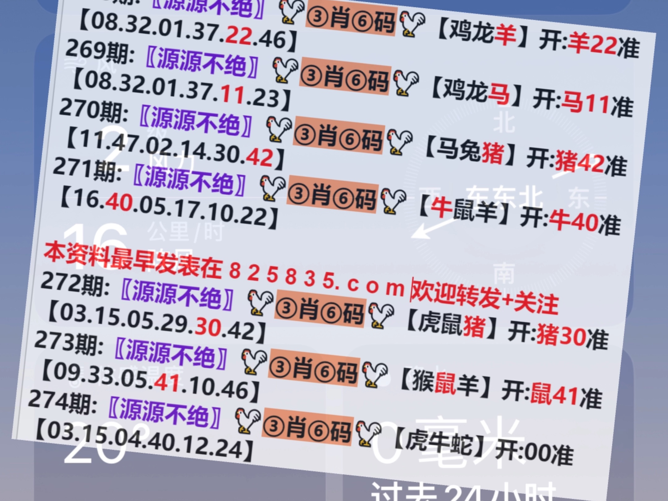 澳門一肖一碼開獎結(jié)果，揭秘彩票背后的秘密，澳門彩票開獎結(jié)果揭秘，一肖一碼背后的秘密