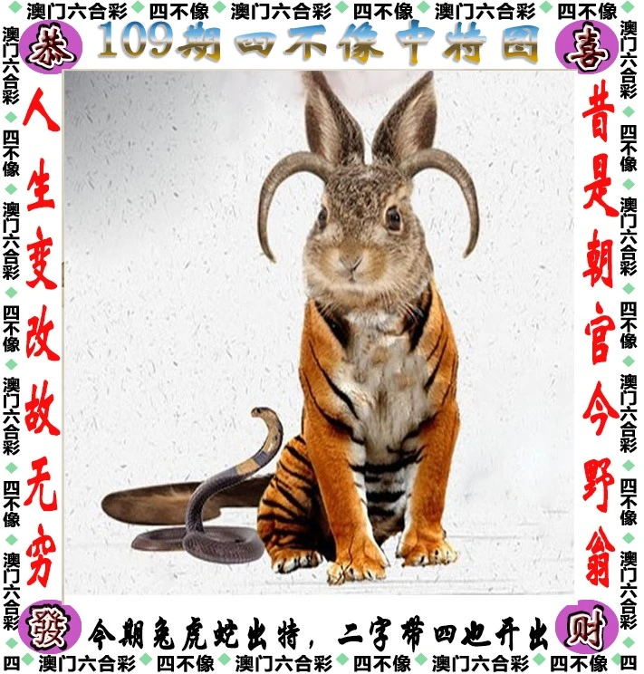 王中王四不像一肖中特，揭秘背后的奧秘與特點(diǎn)，揭秘王中王四不像一肖中特背后的奧秘與獨(dú)特特點(diǎn)