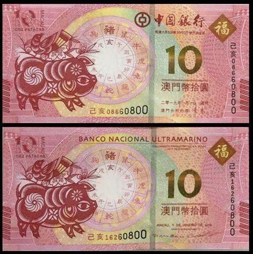 澳門天天彩期期精準(zhǔn)十二生肖預(yù)測——揭秘彩票背后的秘密，澳門天天彩期期精準(zhǔn)十二生肖預(yù)測，彩票背后的秘密大揭秘