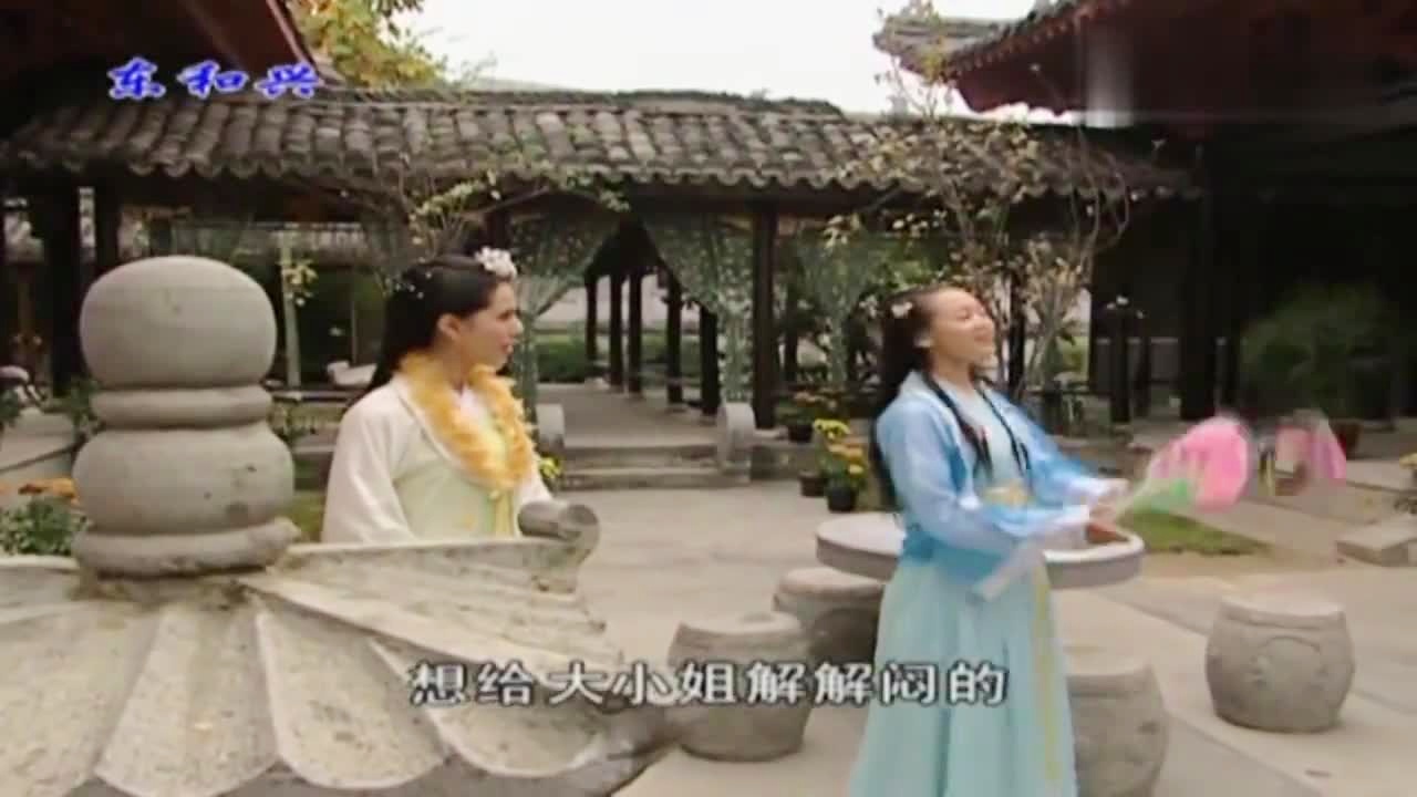 劉伯溫白小姐一肖期期準，神秘預測背后的真相，劉伯溫白小姐生肖預測揭秘，神秘預測背后的真相