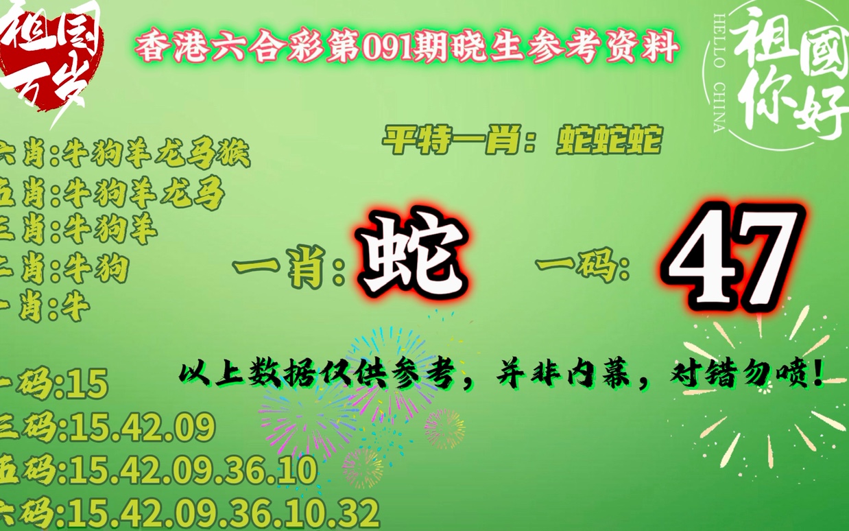新奧門一肖一碼，探索與解析，新奧門一肖一碼解析與探索