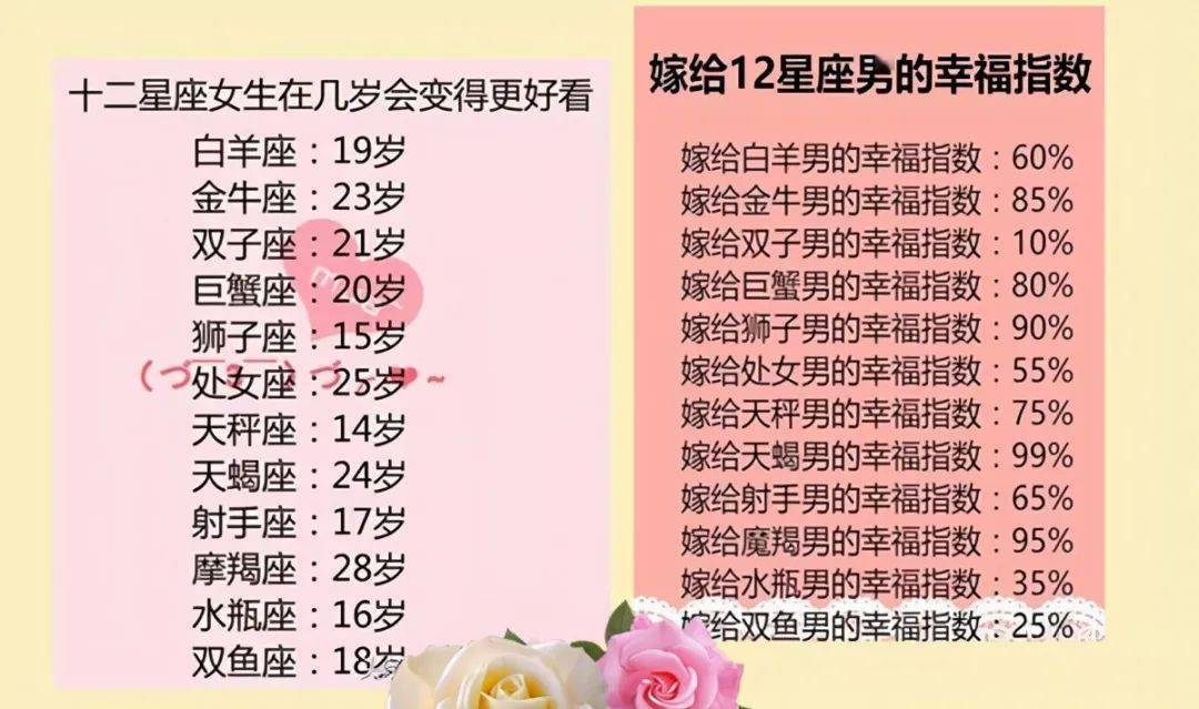 王中王十二生肖所屬之肖解析，王中王十二生肖解析揭秘