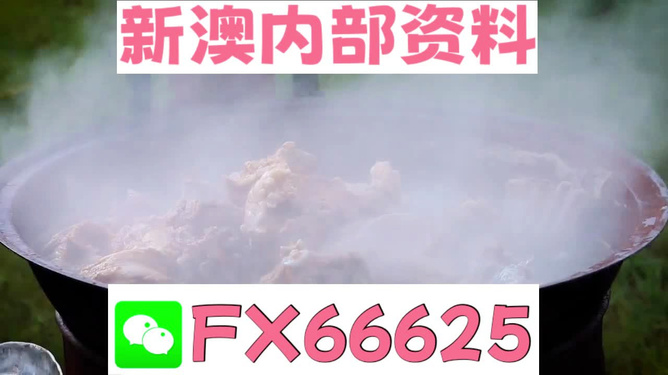 新澳全年免費(fèi)資料大全，一站式獲取優(yōu)質(zhì)資源指南，新澳全年優(yōu)質(zhì)資源免費(fèi)獲取指南